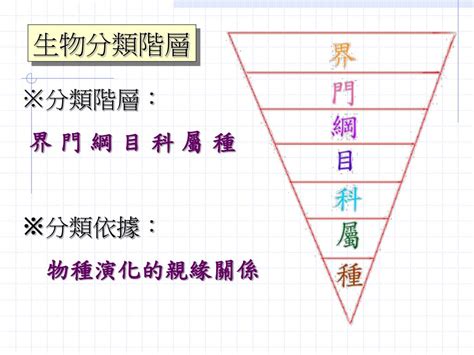 界門綱目科屬種口訣